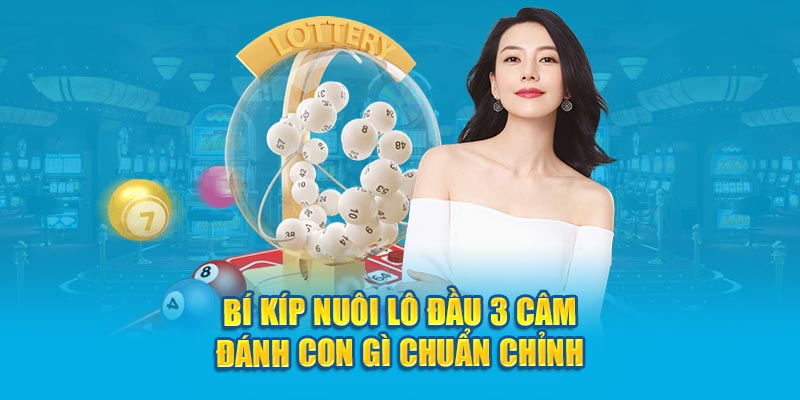 Bí kíp nuôi lô đầu 3 câm đánh con gì chuẩn chỉnh